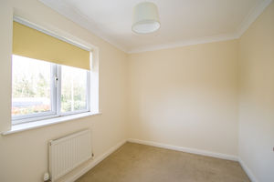 Photo 15- click for photo gallery